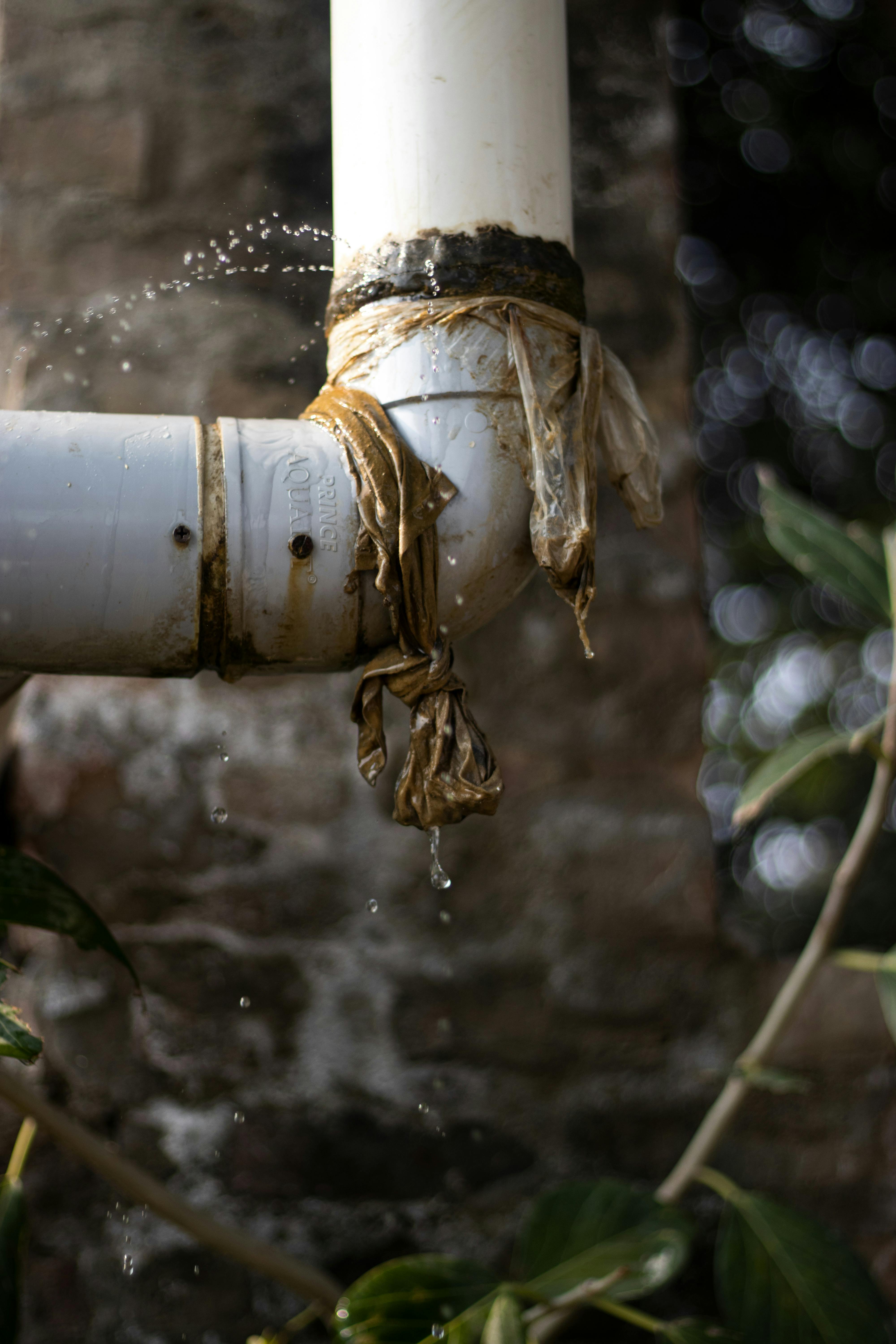 Pipe Freeze Basics